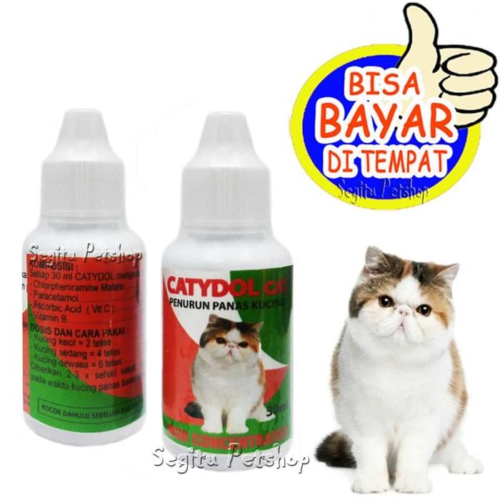 Jual Obat Panas Kucing Demam Kitten Catydol Cat Kab Tangerang Segitu Petshop Tokopedia