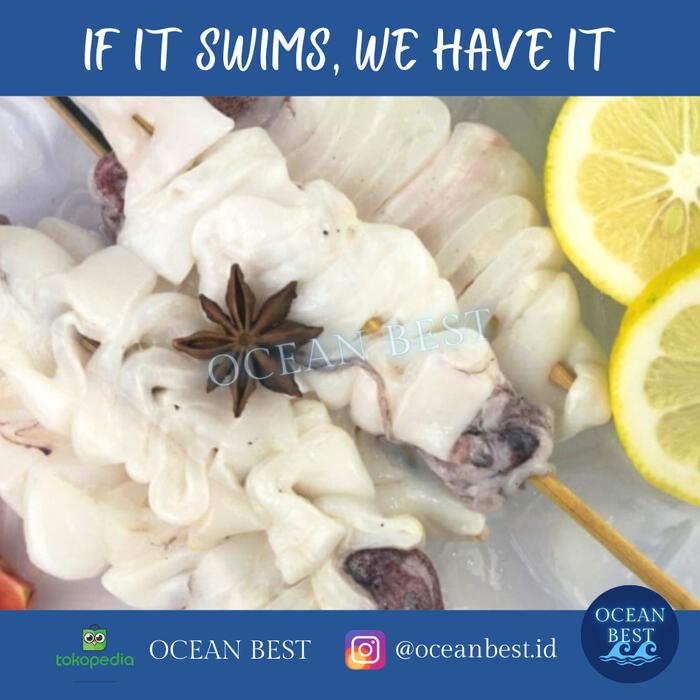 Gambar Sate Cumi Squid Skewer Frozen 500 gram (10 tusuk) dari Ocean Best undefined Tokopedia