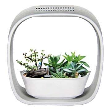 Jual Indy Indoor Pot Terrarium Hidroponik Mini Garden Dengan Led Growlight - Jakarta Barat - Prima Landscape Tokopedia