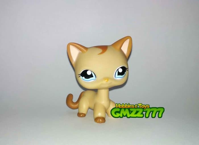 lps tabby