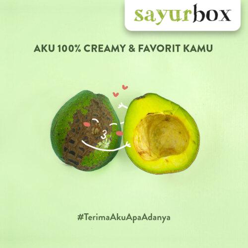Gambar Alpukat Mentega Imperfect 1 kg Sayurbox dari Sayurbox undefined Tokopedia