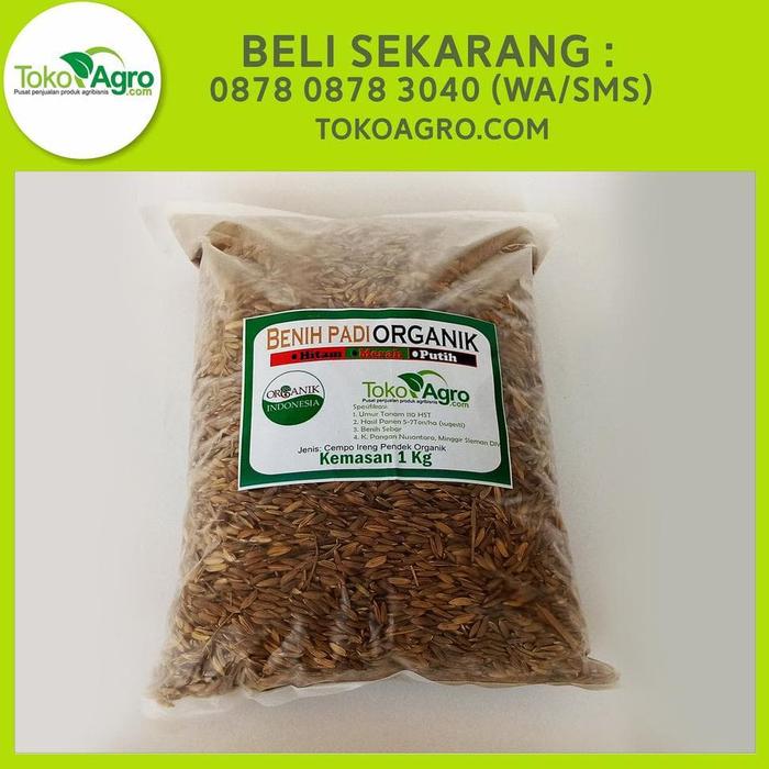 Jual Benih Padi Beras Hitam Anik Jakarta Barat Teratrij Shop Jual Benih Padi Beras Hitam Anik Jakarta Barat Teratrij Shop