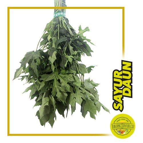 Gambar Daun Pepaya Jepang / ikat dari TukangSayurBerkarya undefined Tokopedia