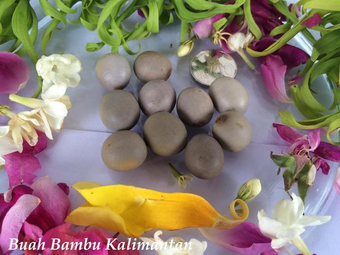 Gambar Buah Bambu Asli dan Antik dari ekaok3 undefined Tokopedia
