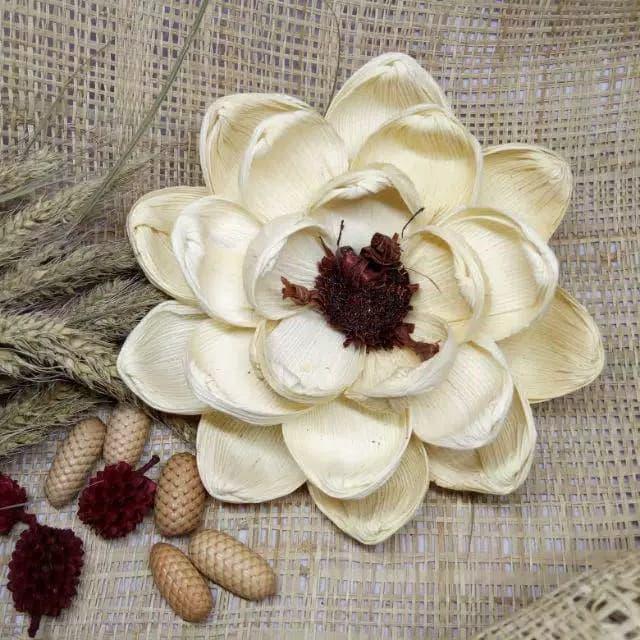 Gambar Bunga kulit jagung diameter 12cm/ bunga kulit jagung 1pcs,BESAR - Putih dari Galileo shop2 undefined Tokopedia