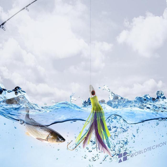 Gambar READYFeather Skirt Squid Octopus Fishing Lure Soft Bait with dari amandineofficial undefined Tokopedia