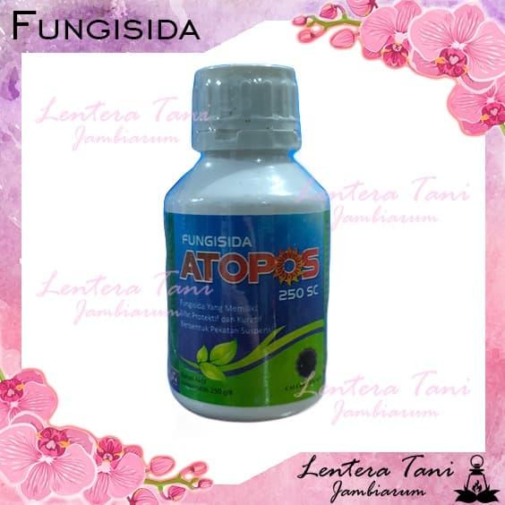 Gambar fungisida atopos 80 ml mencegah dan mengobati jamur pada tanaman dari Lentera Tani Jambiarum undefined Tokopedia