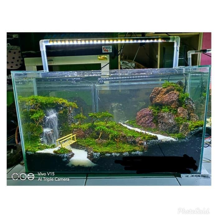 Jual Jual Aquascape Full Set Uk 100cm X 40 Cm X 40 Cm Jakarta Selatan Kios Manda Aquarium Tokopedia