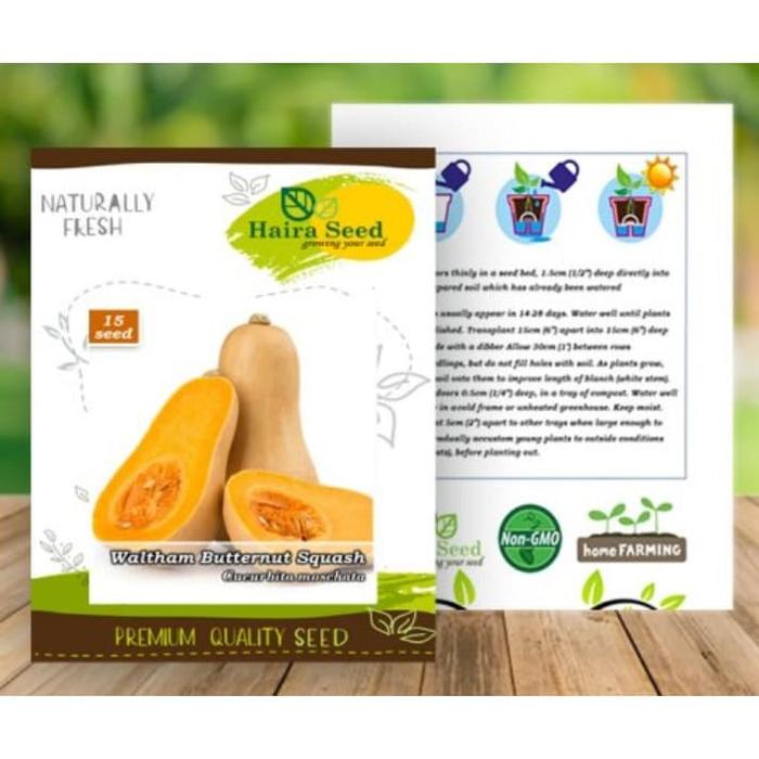 Gambar BIBIT LABU MADU / WALTHAM BUTTERNUT SQUASH / HAIRA SEED / KEMASAN ASLI dari Handigofarm undefined Tokopedia
