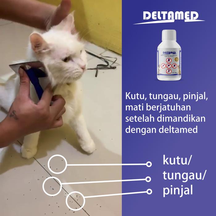 Jual Disinfektan spray basmi kutu tungau pinjal caplak lalat 