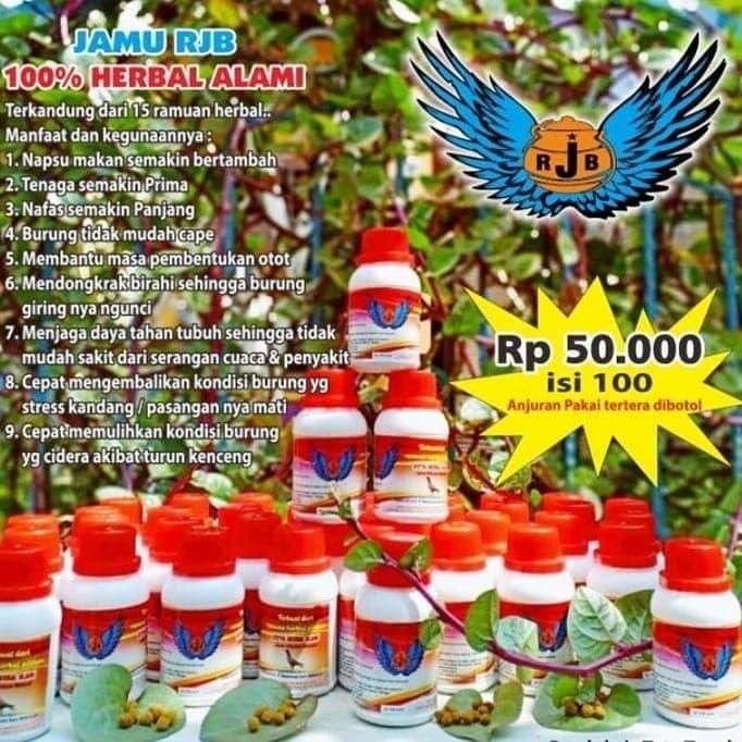 Gambar JAMU RJB - BARON RAMUAN HERBAL MERPATI dari CV. RING MANDOR undefined Tokopedia