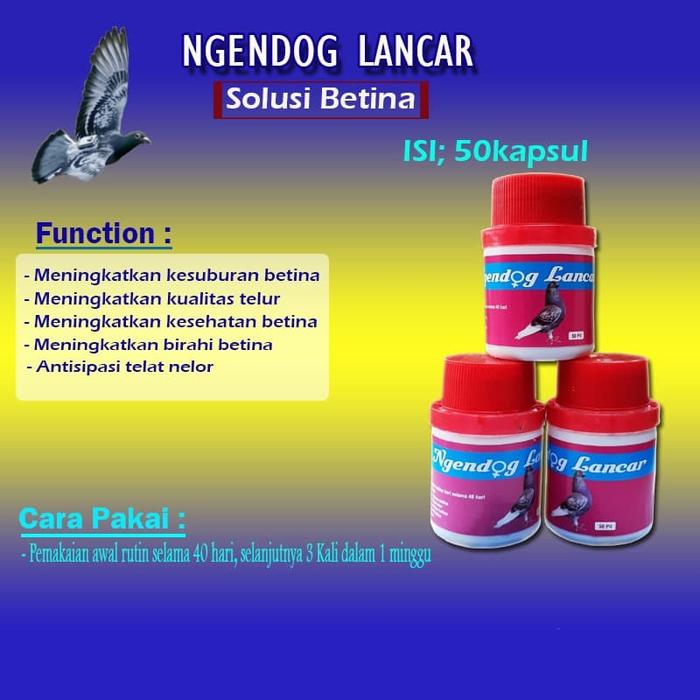 Gambar OBAT MERPATI - NGENDOG LANCAR BARON dari CV. RING MANDOR undefined Tokopedia