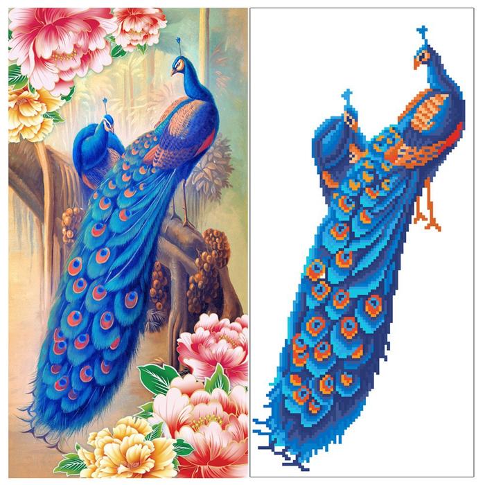 76 Koleksi Gambar Burung Merak Berwarna HD Terbaru