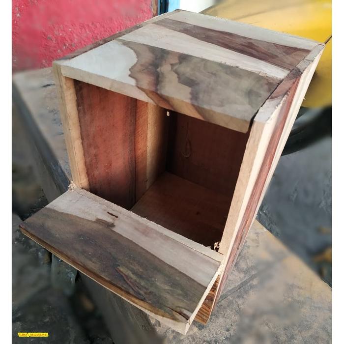 Gambar Glodok Ternak Burung Murai Wow dari Toko Bintang Cantika undefined Tokopedia