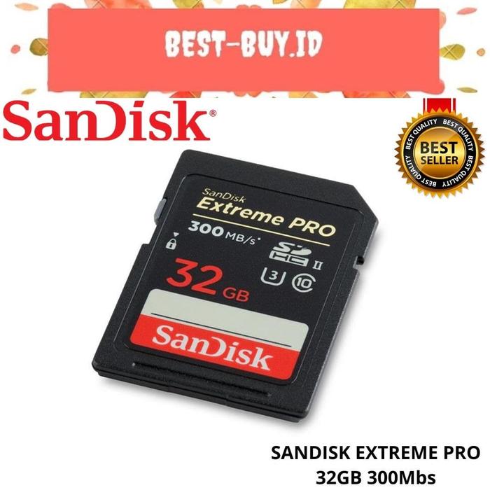 64.サンディスクExtremePRO300 SDカード256GB .22 （64.サン