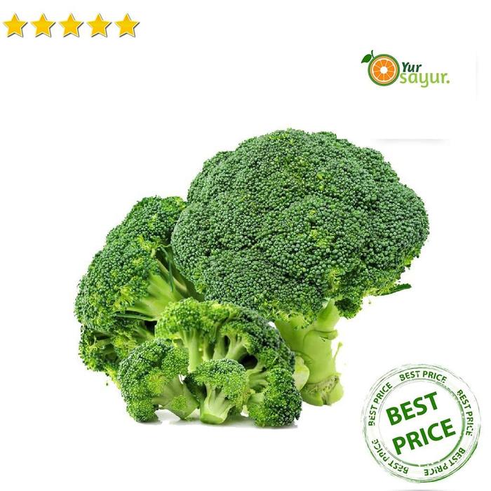 Jual Sayur Brokoli Sayuran Makanan Sehat Brokoli Asli 500 Gram Kab Bogor Jbgrosir Tokopedia