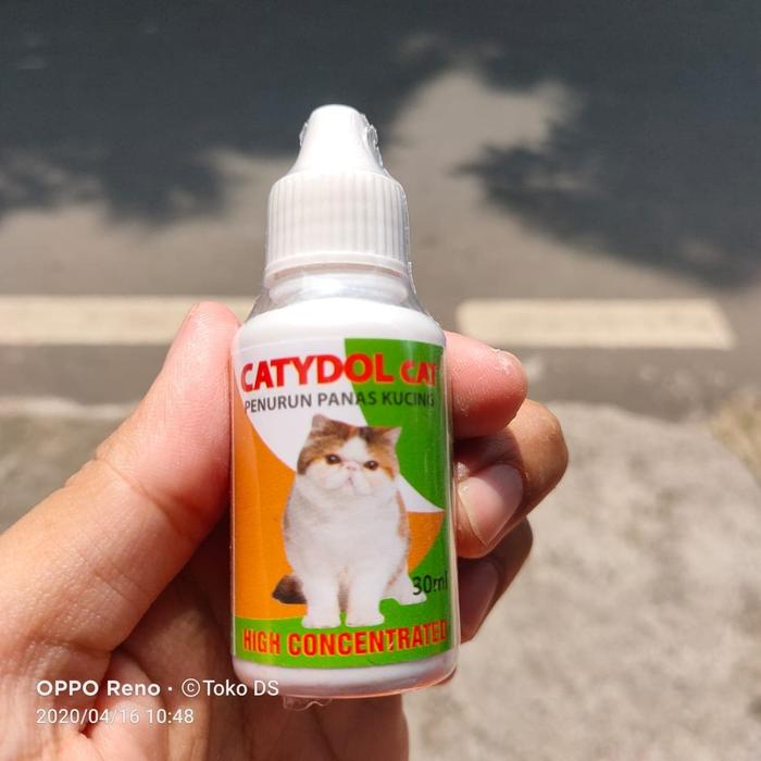 Obat Kucing Sakit Demam Lemas Kitten Stop Fever Penurun Panas Kucing Lazada Indonesia