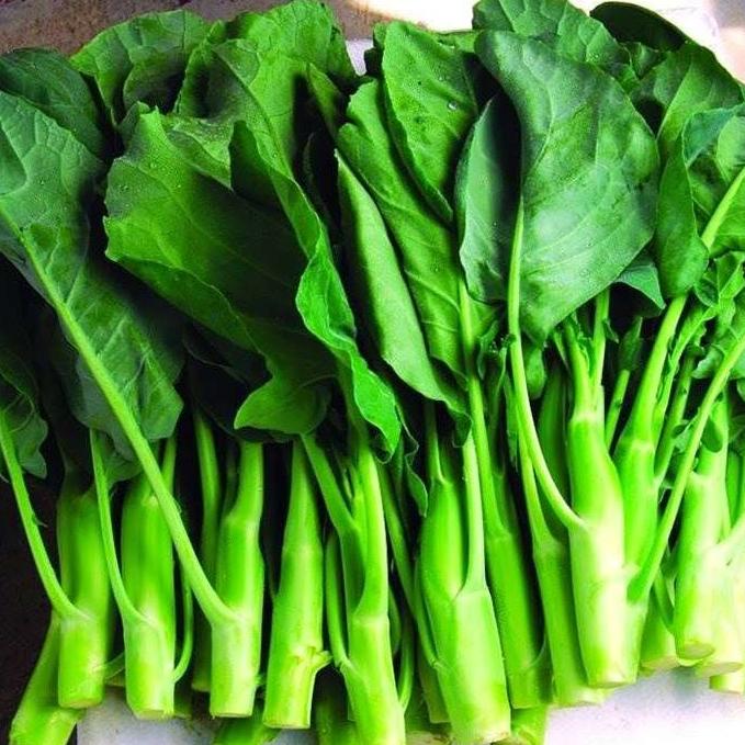Gambar Sayur Kailan Fresh 250 gram dari Sayur Segar Bekasi undefined Tokopedia