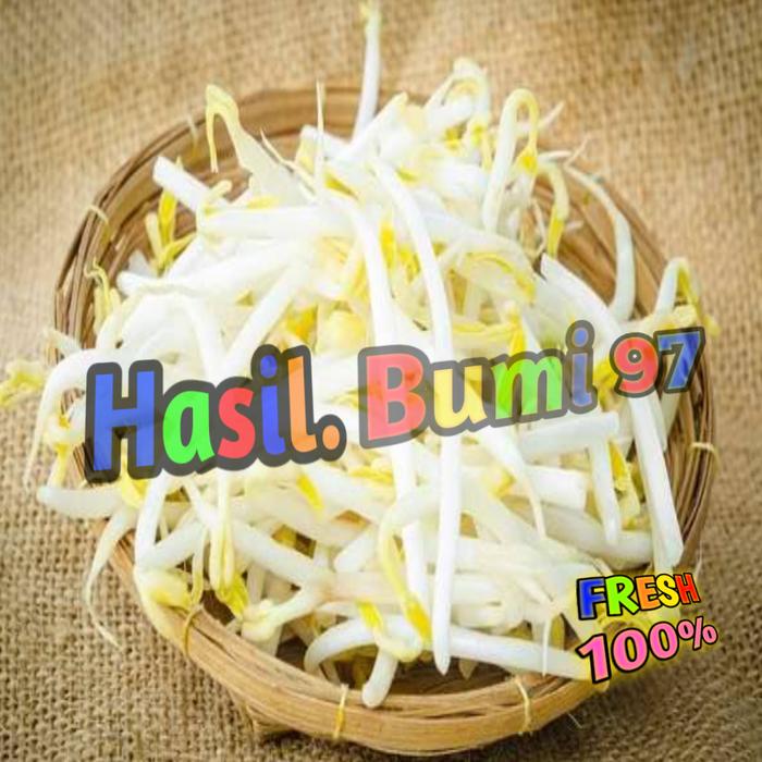 Gambar TOGE 1000Gr TAUGE dari hasilbumi97 undefined Tokopedia