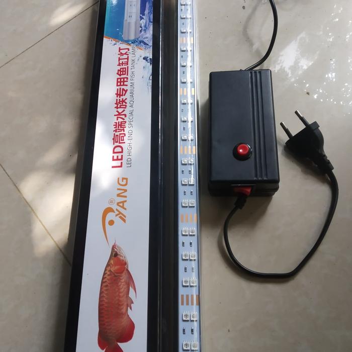 Gambar Lampu Arwana Aquarium 120 cm Lampu Taning Arwana YANG 112 dari Sauris Discus Aquarium undefined Tokopedia