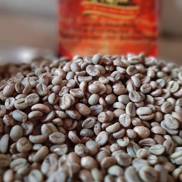 Gambar Biji KOPI LUWAK ASLI Dampit GREEN BEAN 1Kg Di Bali dari Jual Kopi undefined Tokopedia