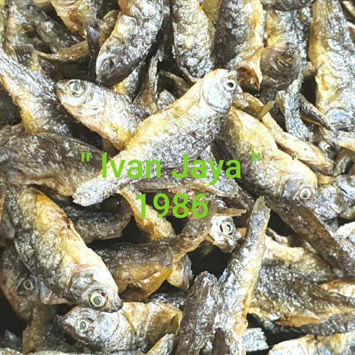 Gambar Ikan Danau singkarak/bilih kecil/bilis/Tawar padang 1kg/1000 gram dari ivanjaya1986 undefined Tokopedia