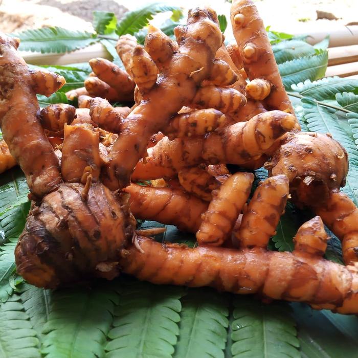 Gambar kunyit/kunir/koneng bumbu dapaur 250 gram 250gram 250gr 250 gr segar dari dewi ruswati undefined Tokopedia