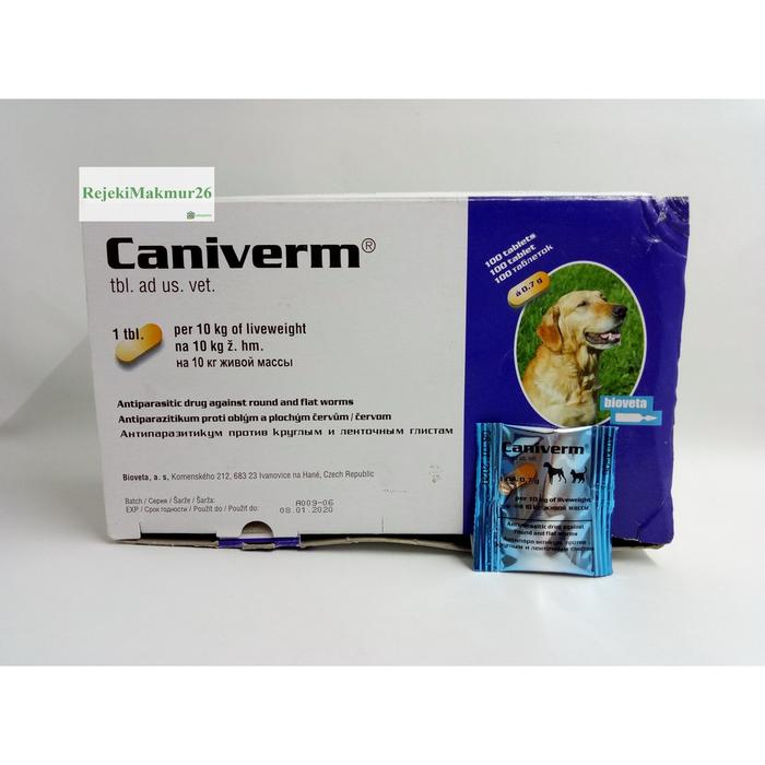 ivermectin 6 mg 100 tbl
