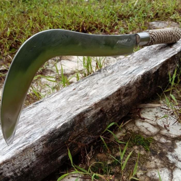 Gambar sabit arit tebas rantimg baja per UD MADURA - Putih dari UDmaduraperalatan undefined Tokopedia