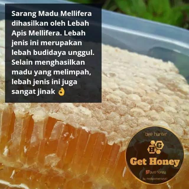 Gambar Madu Alami Sarang Lebah Asli 100% Madu Melifera Premium Netto 250 Gram dari Wins Grosir Gallery undefined Tokopedia