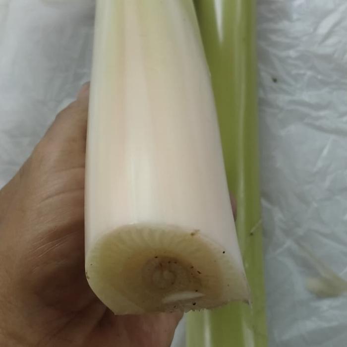 Ftlnm8s8 Sno9m Ftlnm8s8 Sno9m