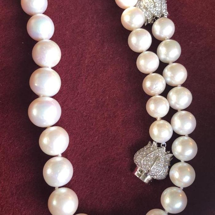 Gambar mutiara lombok grosir - Putih dari LILO MUTIARA LOMBOK undefined Tokopedia