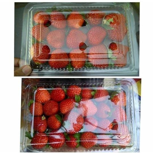 Gambar Buah Strowberi Segar - 1 Cup dari PCO Store_NEW undefined Tokopedia