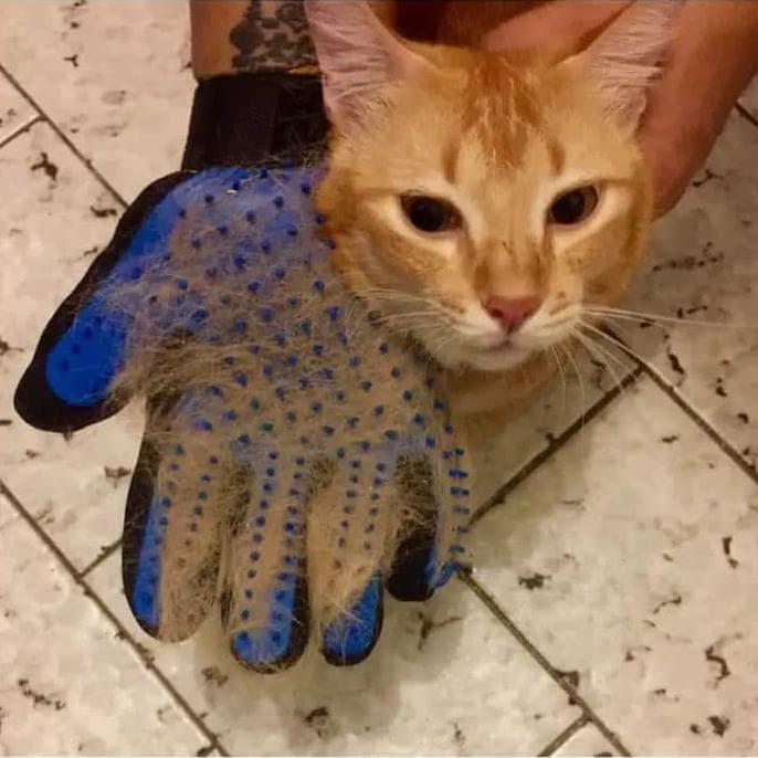 Jual Terlaris Sikat Pembersih Bulu Anjing Kucing Sarung Tangan Sisir Sikat Kab Bekasi Lapak Kuna Tokopedia