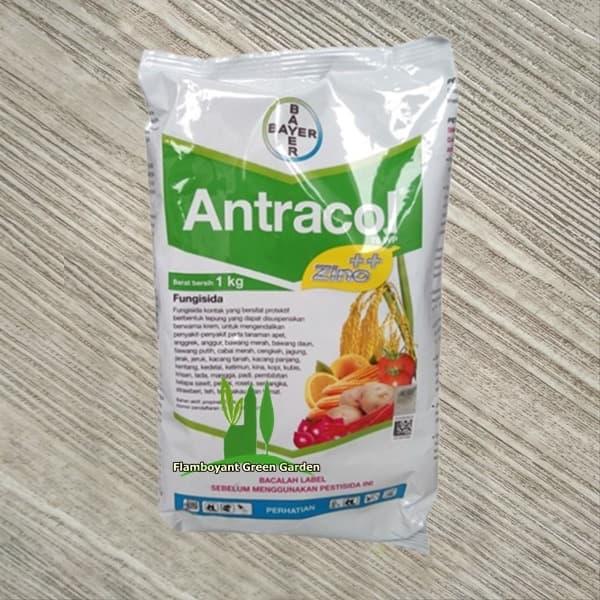 Jual Antracol 70wp Fungisida Untuk Mengatasi Jamur Tanaman Pertanian 1kg Kab Kediri Pojok Aneka Tani Tokopedia