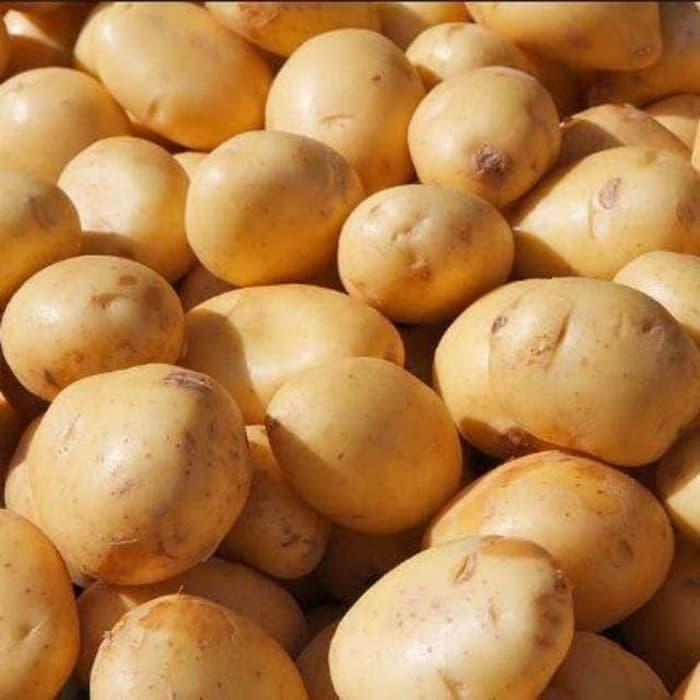 Jual Kentang Dieng Kecil 500 gram - Kota Bandung - Aeeshastore | Tokopedia