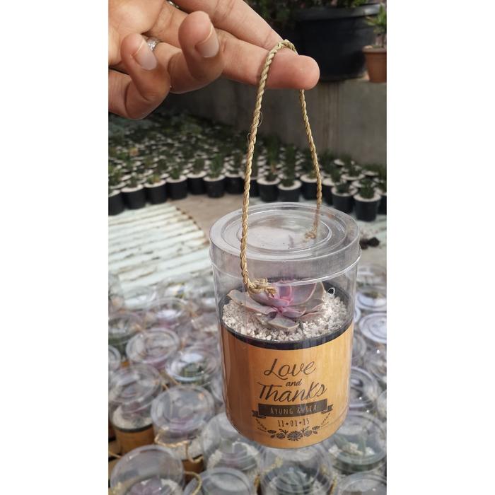 Gambar Souvenir Pernikahan Unik Tanaman Kaktus Mini Paket mika tabung dari Erik Kaktus undefined Tokopedia