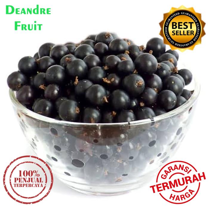 Gambar Buah Beku IQF Blackcurrant Frozen Utuh 1/2kg TERMURAH DIJAMIN MURAH dari Deandre Fruit Market1 undefined Tokopedia