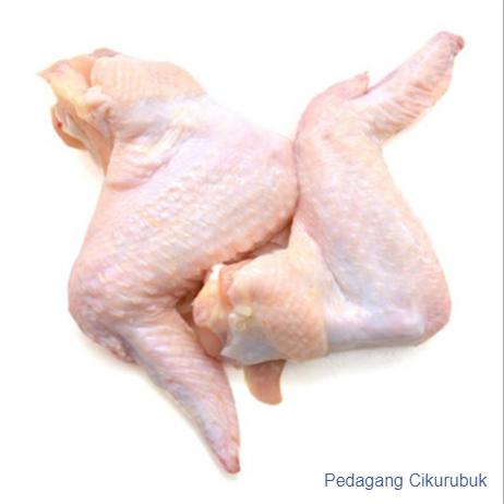 Gambar Ayam Daging Sayap @500 gram dari Warungceuyani undefined Tokopedia