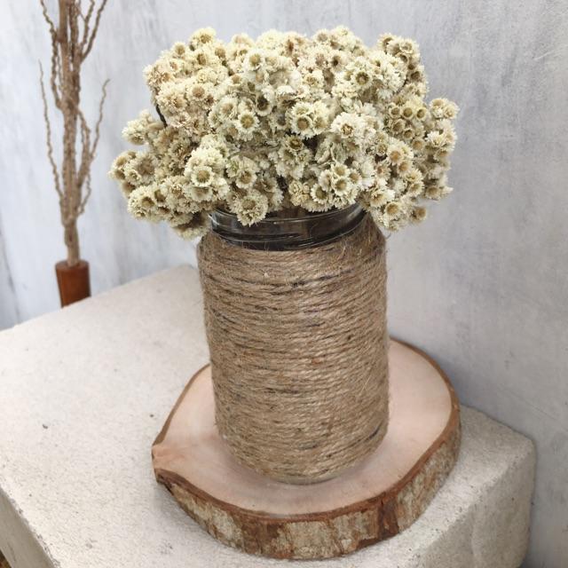 Jual Bunga Edelweis Kering Vas Kaca 350 Ml Full Tali Rami 1 Set Kota Semarang Baju Maju Tokopedia