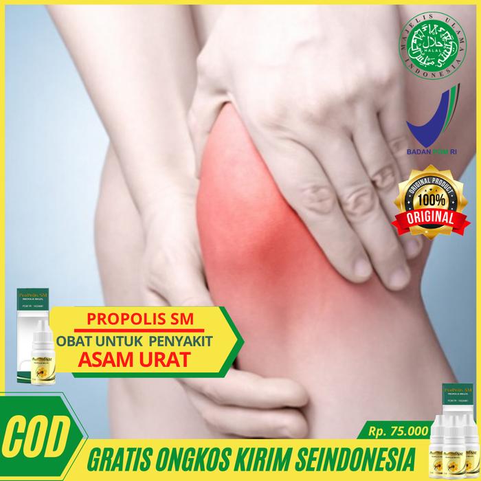 Jual Obat Asam Urat Gout Nyeri Sendi Sendi Pegal Propolis Sm Brazilian Kota Tangerang Alulazyshop Tokopedia