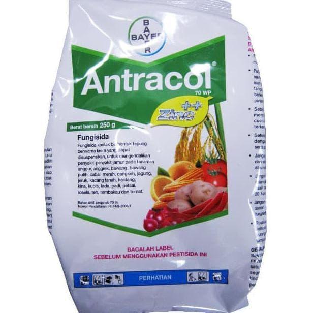 Jual Obat Pertanian Pembunuh Jamur Fungisida Antracol 70 Wp Promo Jakarta Barat Adikusnandar Tokopedia