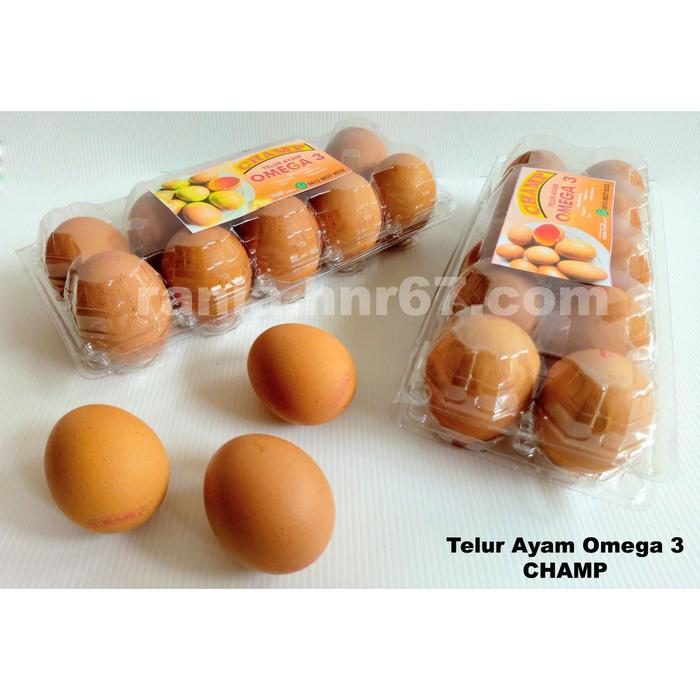 Gambar Telur Ayam Omega 3 Champ Isi 10 Tangerang dari HNR67 undefined Tokopedia