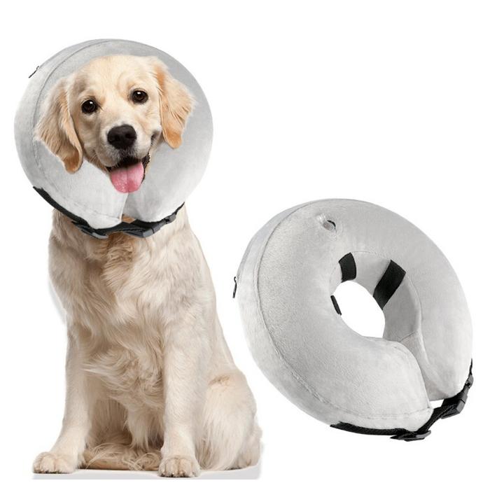 protective collar dog
