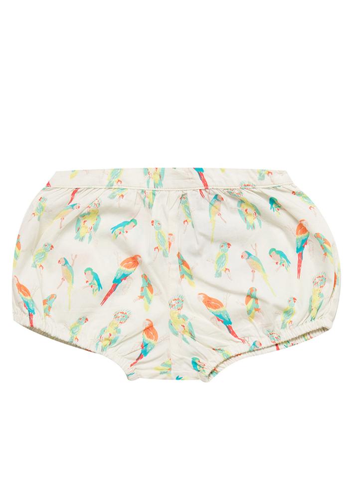 Gambar Gingersnaps Daisy Bubbles Shorts Multicolor - 6 m dari Gingersnaps Indonesia undefined Tokopedia