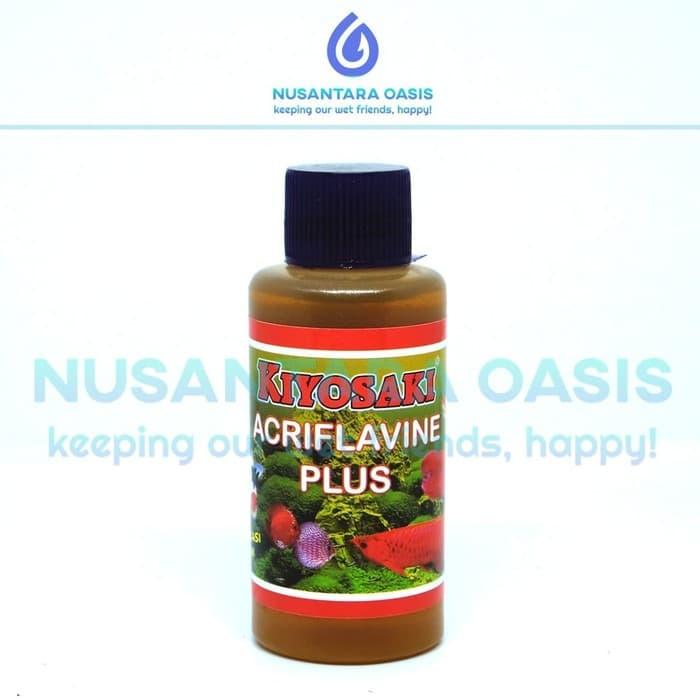 Gambar OBAT IKAN HIAS ACRIFLAVINE PLUS KIYOSAKI 100 ml dari Noasis Jakarta undefined Tokopedia