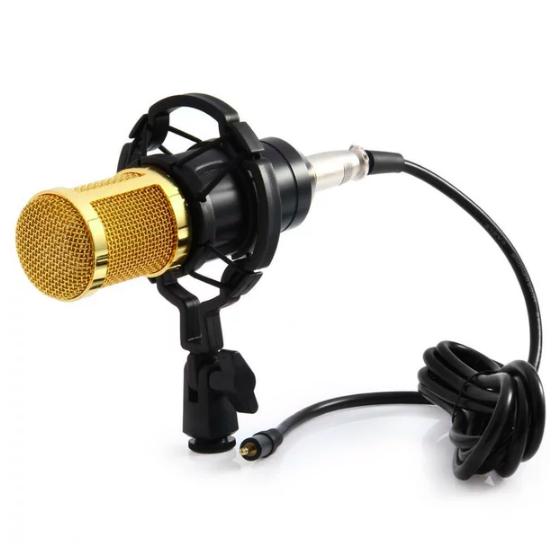 Jual Mic Mikrofon Profesional Rekaman Cover Lagu Smule Vlog Live Streaming Kota Bekasi Balaistore Tokopedia