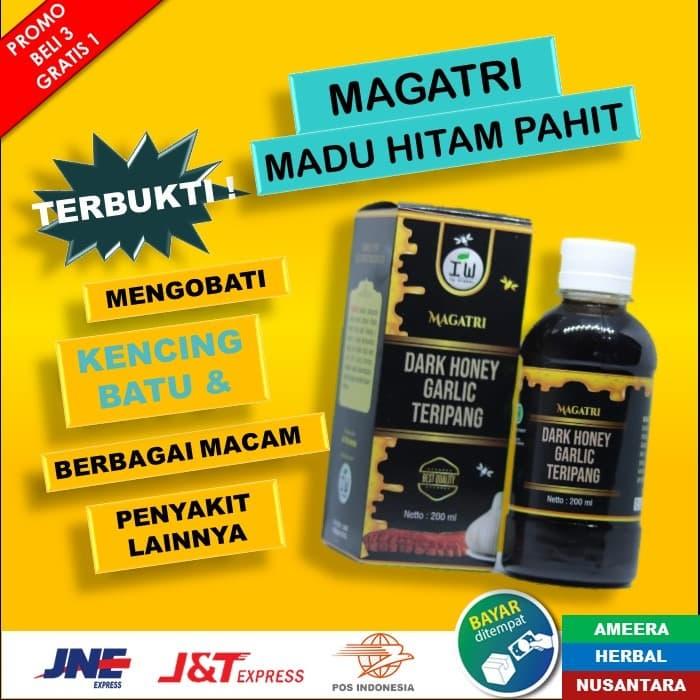 Jual Madu Hitam Asli Madu Hutan Obat Ginjal Kencing Batu Batu Ginjal A16 Kab Bekasi Ameera Herbal Nusantara 
