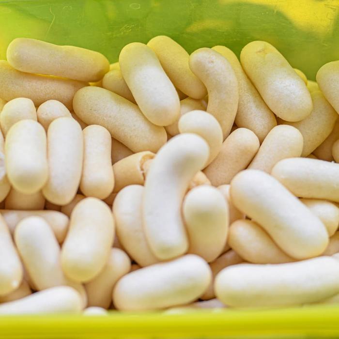 Gambar Pilus Ikan 250gr - 250 Gr dari Surya Jaya Snack undefined Tokopedia