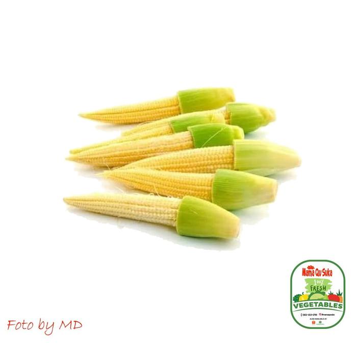 Jual Jagung Putren Ba Corn Fresh Vegetables Jakarta Timur Mamaqusuka 